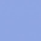 paint