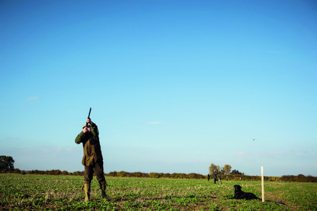 man shooting pheasants in field