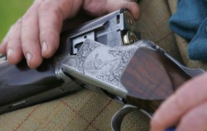 Should shotgun training be compulsory?