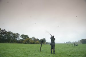 Shooting birds in the field