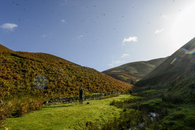 Whirlpool at Drumlanrig Scotland shoot drive