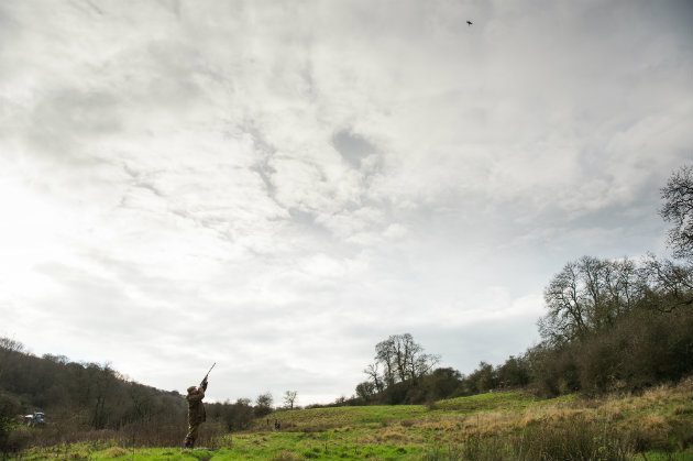 Shooting in countryside