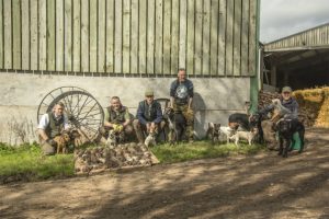 Ratting terrier