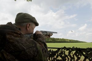 Pigeon shooting from hide