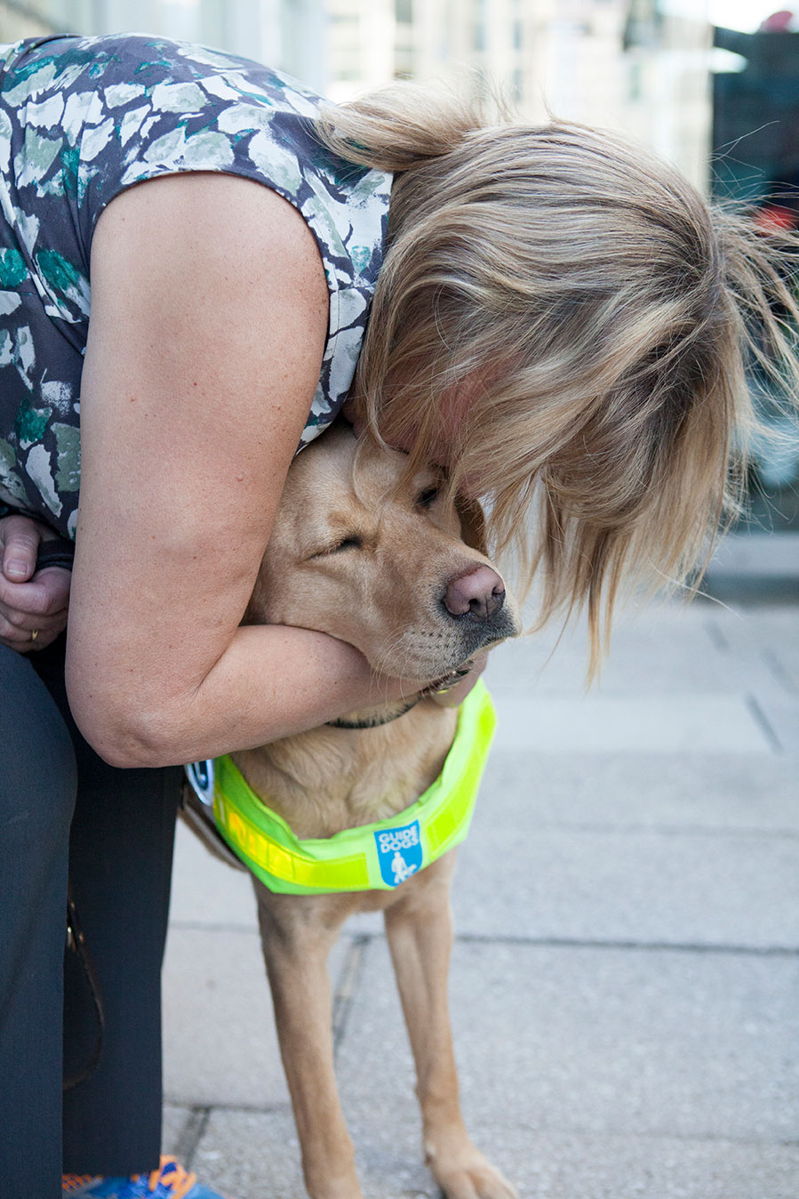 How puppies become guide dogs