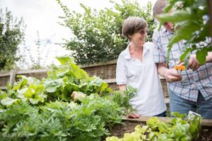 dementia-sensory-garden