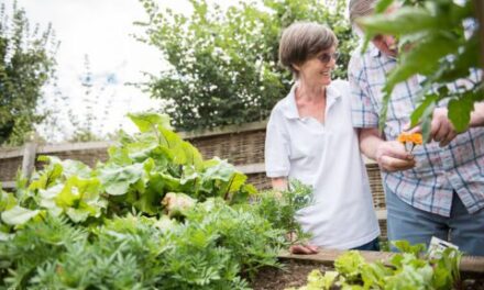 The Dementia Sensory Garden at Stanfield Nursing Home