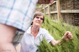 residential care home activities