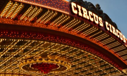 Updates On The Latest Circus Skills Trends