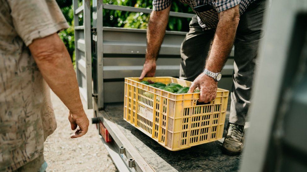 Fuel price jump will hit food bills, distributors warn