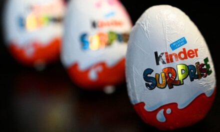 Kinder chocolate factory told to shut over salmonella cases