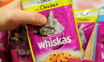 Whiskas pet food off Tesco shelves after price row