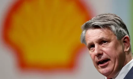 Oil giant Shell appoints renewables head as boss
