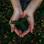 What Is Green Marketing And Should Businesses Take Note?