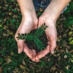 Eco-Friendly Marketing for Small Businesses: What Works in 2025