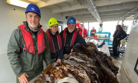 Mayor backs SeaGrown seaweed firm in carbon-negative Yorkshire region bid