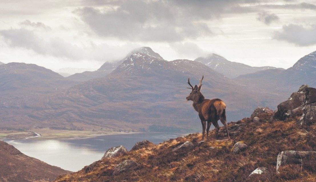 The Highland tourist tax: Is Scotland pricing out whisky tourists?