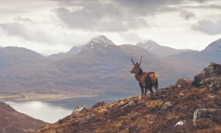 The Highland tourist tax: Is Scotland pricing out whisky tourists?