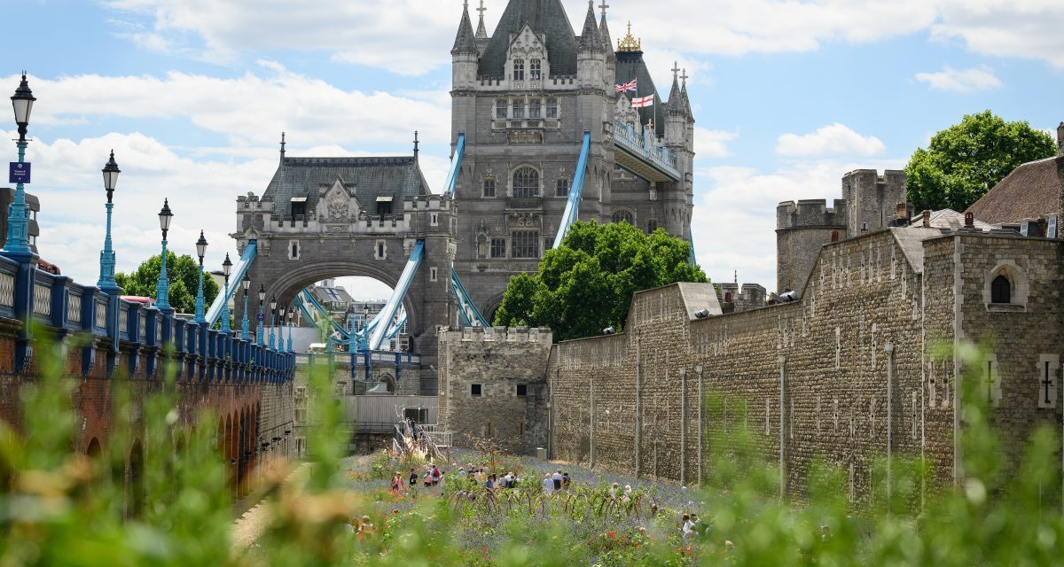 Ministers back City skyscraper plans after Tower of London row