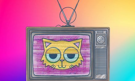 ‘The world of Cat TV is more cut throat than you would ever imagine’ – inside the strange business of TV… for cats